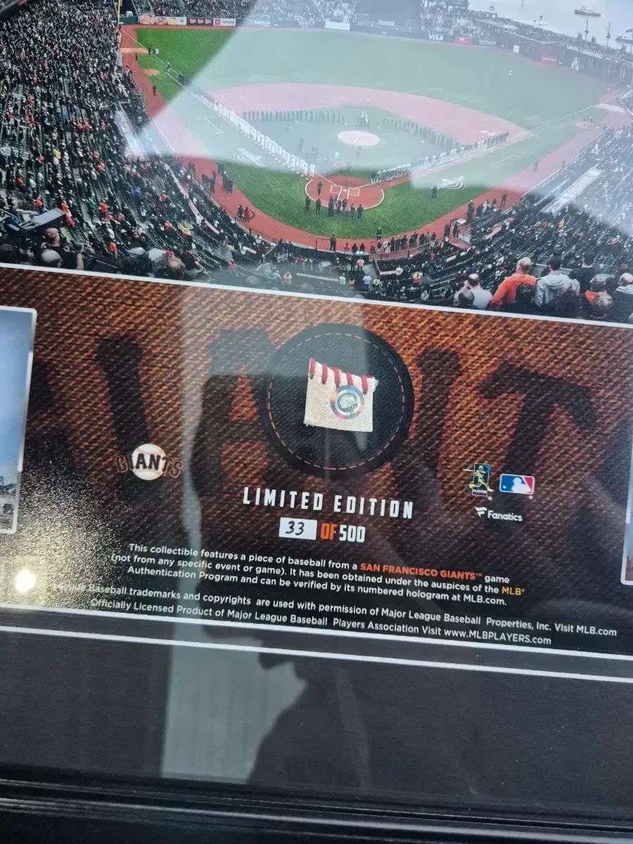 サンフランシスコ ジャイアンツ オラクルパーク MLB モデル 試合使用 野球ボール 額縁