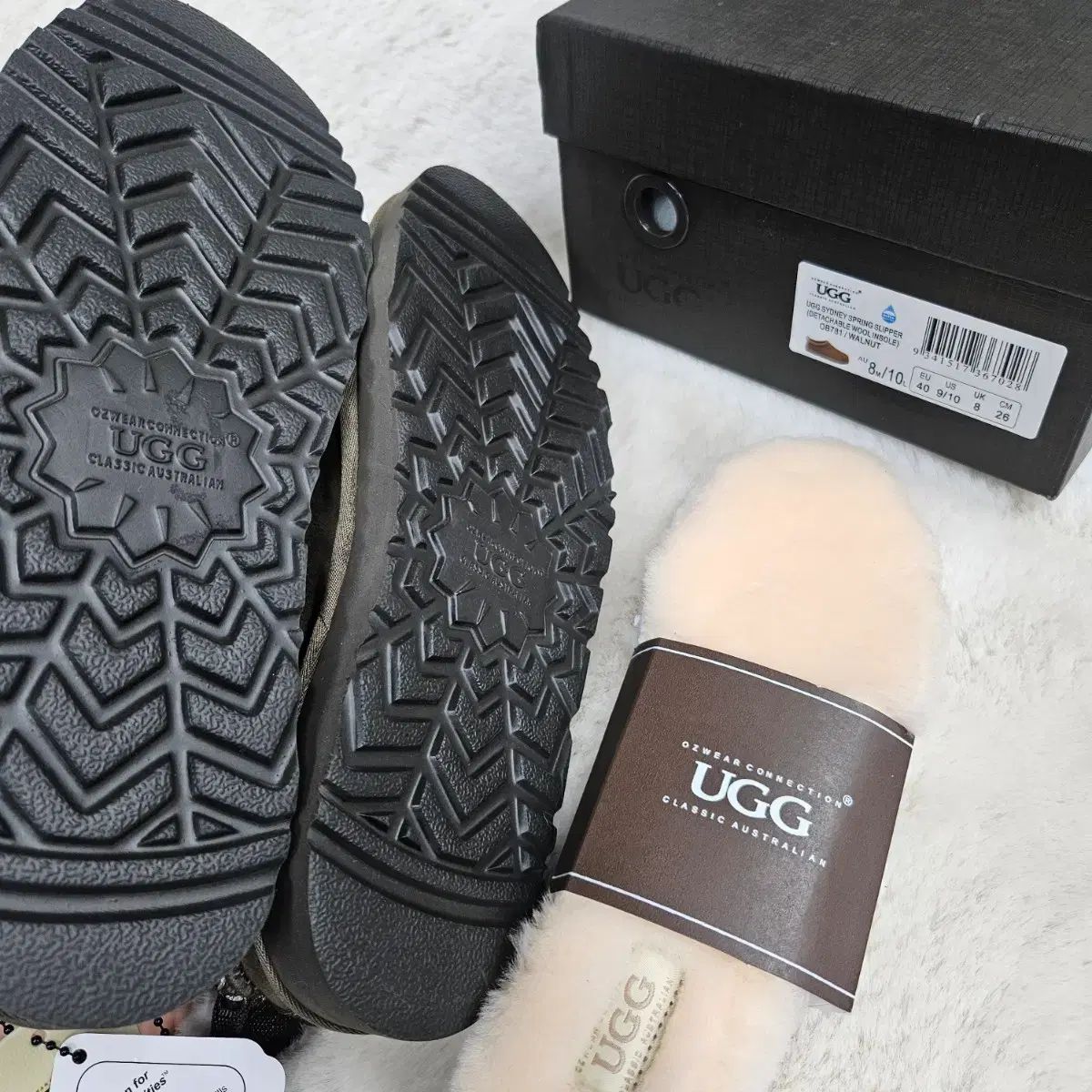 ウォールナットCOLOR