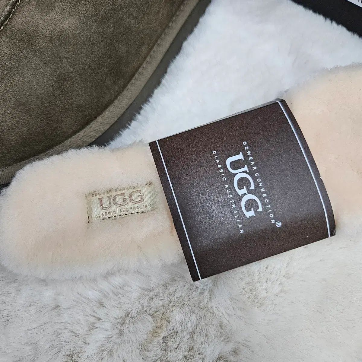 韓国 オッズウェア