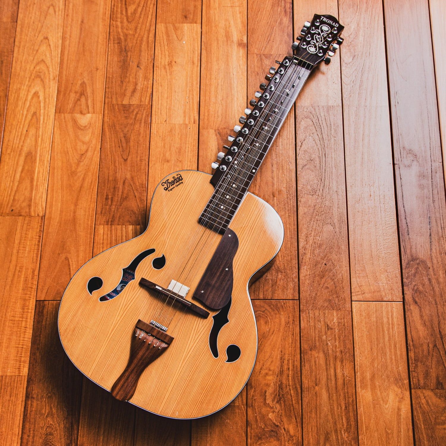 インドのスライド・ギター モハーンヴィーナ / モハーンヴィーナ