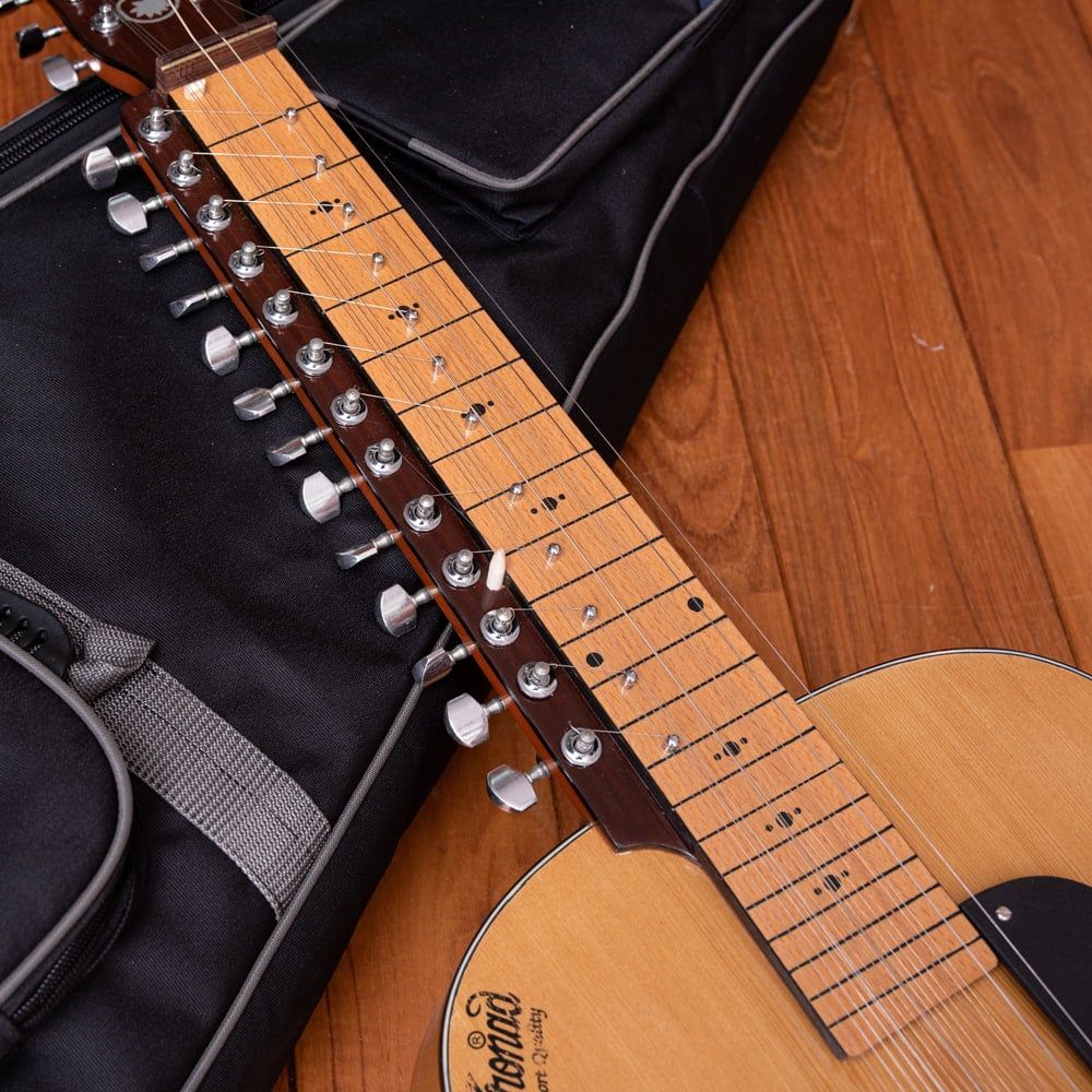 インドのスライド・ギター モハーンヴィーナ / モハーンヴィーナ