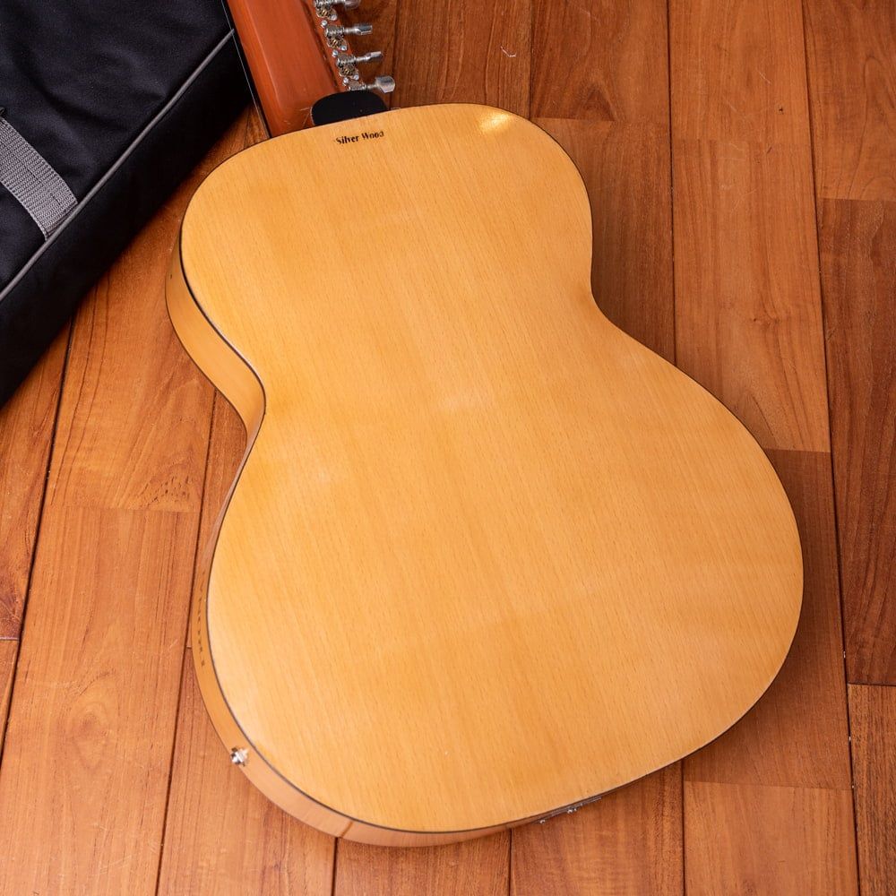 インドのスライド・ギター モハーンヴィーナ / モハーンヴィーナ