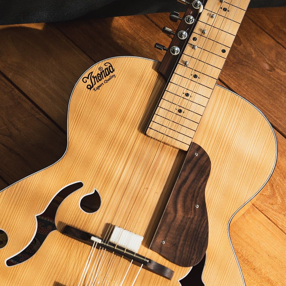 インドのスライド・ギター モハーンヴィーナ / モハーンヴィーナ