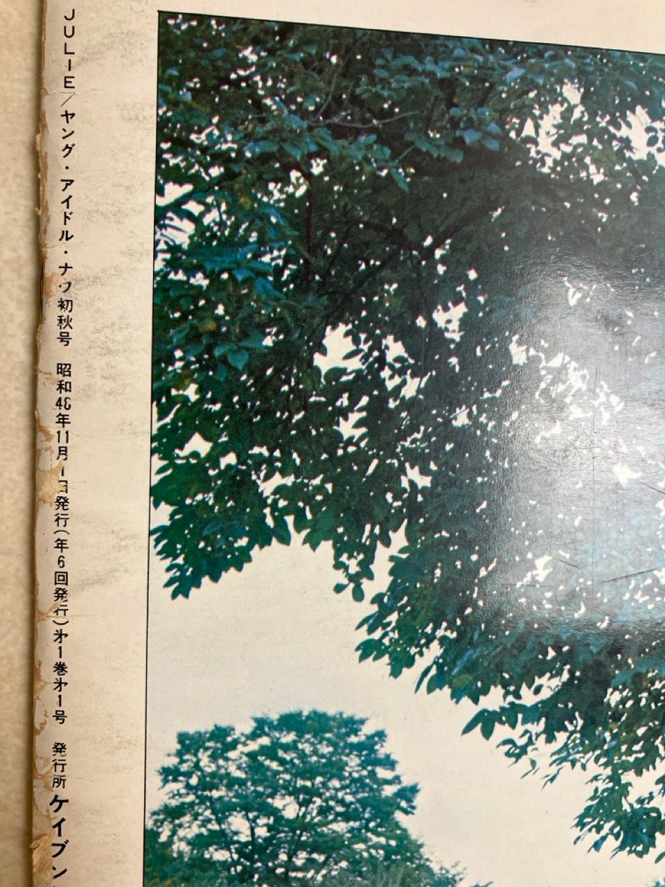 ヤング・アイドル・ナウ Vol.1 編集 沢田研二 JULIE - メルカリ