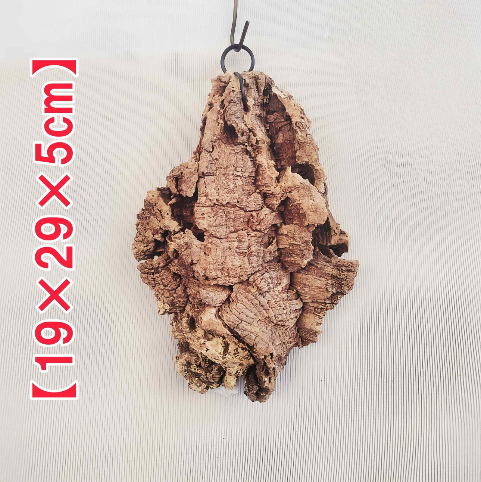 g222 ポルトガル産 厚め コルク樹皮 コルク板 バージンコルク 送料無料