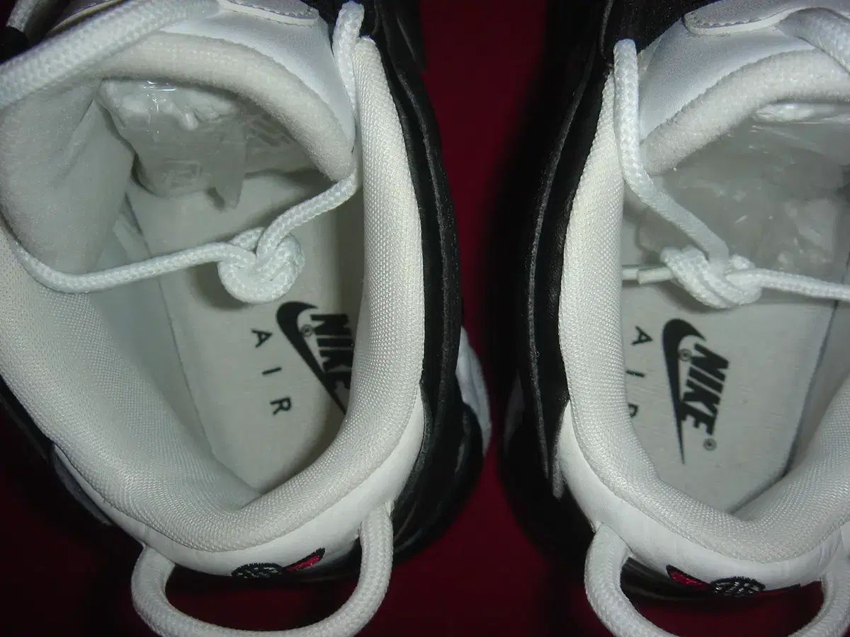 スカティピファン