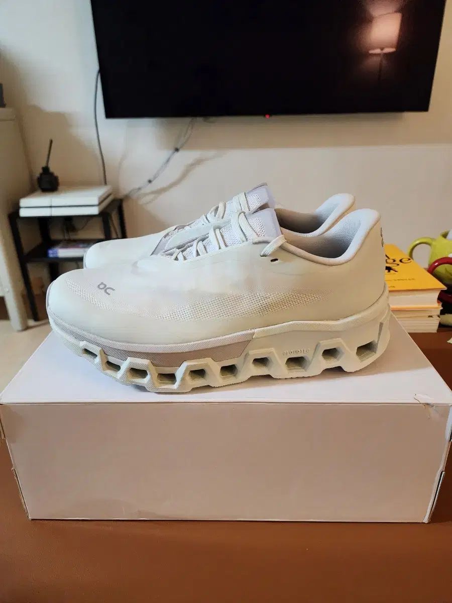 オン ランニング パフ クラウド MONSTER Vapor プロスト 270