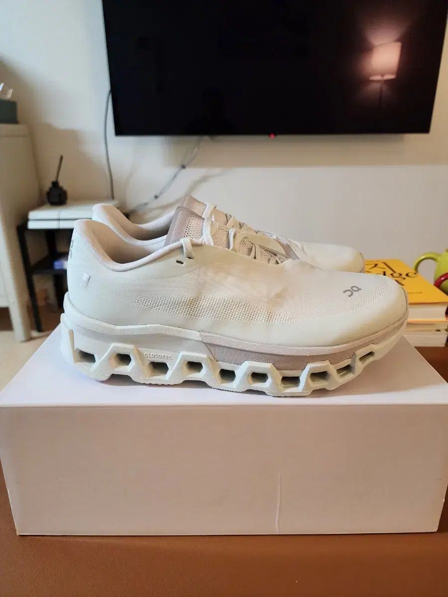 オン ランニング パフ クラウド MONSTER Vapor プロスト 270