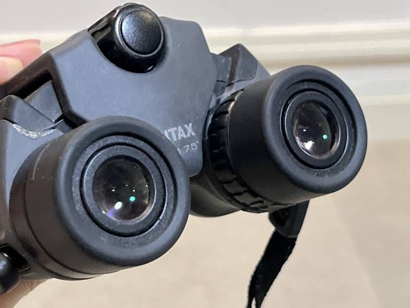PENTAX PapilioⅡ 6. 7.5° 双眼鏡 ペンタックス