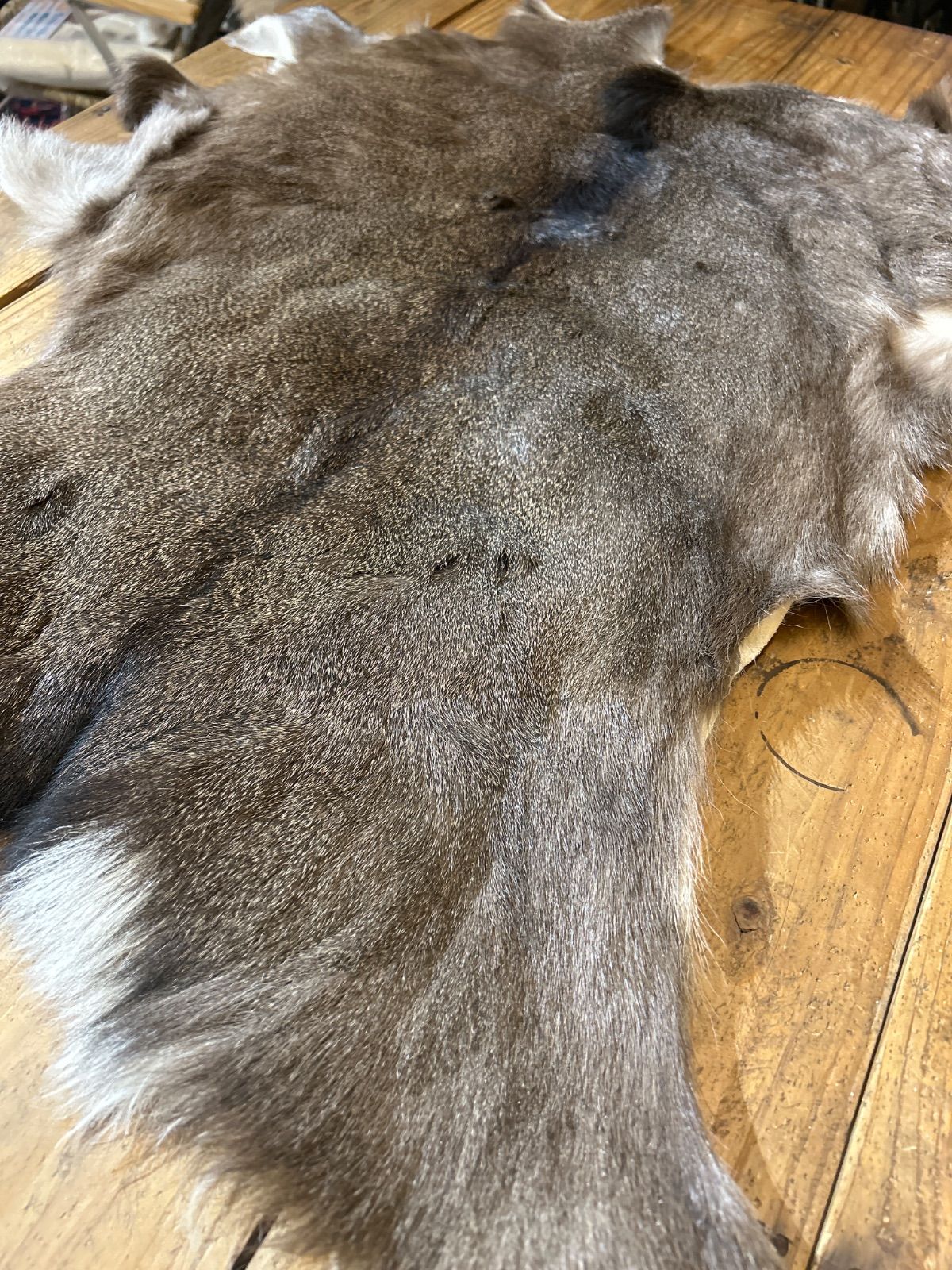 鹿の毛皮 ラグ敷物 毛革 鹿革 鹿6 ブッシュクラフト 野営 キャンプ