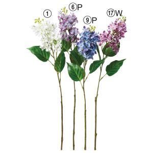 ASCA アスカ ライラック A-34793-017 W 入数 24