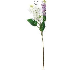 ASCA アスカ ライラック A-34793-001 入数 24