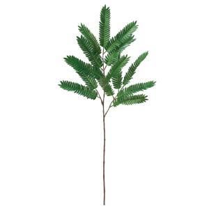 ASCA アスカ エバーフレッシュ A-44385-051 A 入数 12