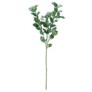 ASCA アスカ リーフスプレー A-44382-053 S 入数 12