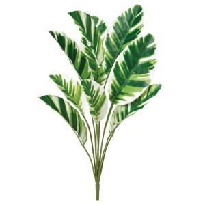 ASCA アスカ カラテア A-44371-051 V 入数 12