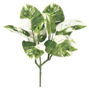 ASCA アスカ モンステラブッシュ A-44370-051 V 入数 12