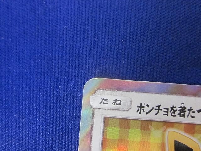 ポンチョを着たイーブイ