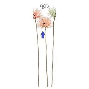 ASCA アスカ ガーベラ A-34780-008 D 入数 24