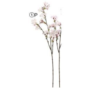 ASCA アスカ 桜X 50 A 34775 001 P 入数 12