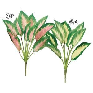 ASCA アスカ ディフェンバキアブッシュ A-44369-053 A 入数 12