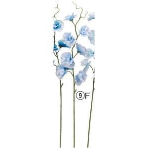 ASCA アスカ スイトピーX 7 A-34763-009 F 入数 24