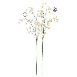 ASCA アスカ カンパニュラX 43 つぼみX 5 A-34757-020 入数 24