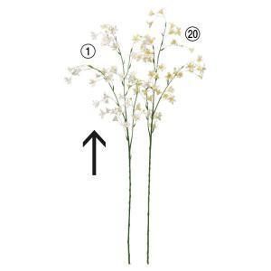 ASCA アスカ カンパニュラX 43 つぼみX 5 A-34757-001 入数 24