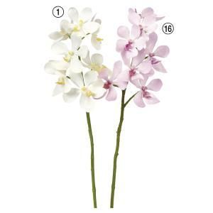 ASCA アスカ オーキッドX 7 A-34755-016 入数 12