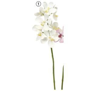 ASCA アスカ オーキッドX 7 A-34755-001 入数 12