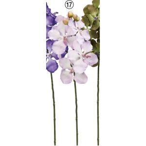 ASCA アスカ バンダオーキッドX 8 つぼみX 4 A-34701-017 入数 12