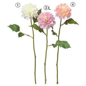 ASCA アスカ ダリア A-34697-004 入数 36