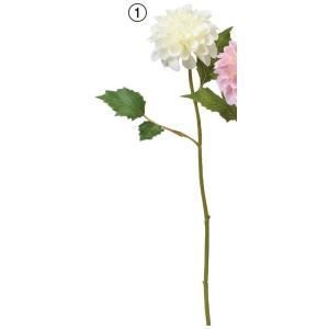 ASCA アスカ ダリア A-34697-001 入数 36