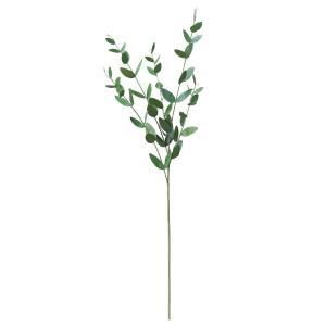 ASCA アスカ ユーカリ A-44363-051 A 入数 12