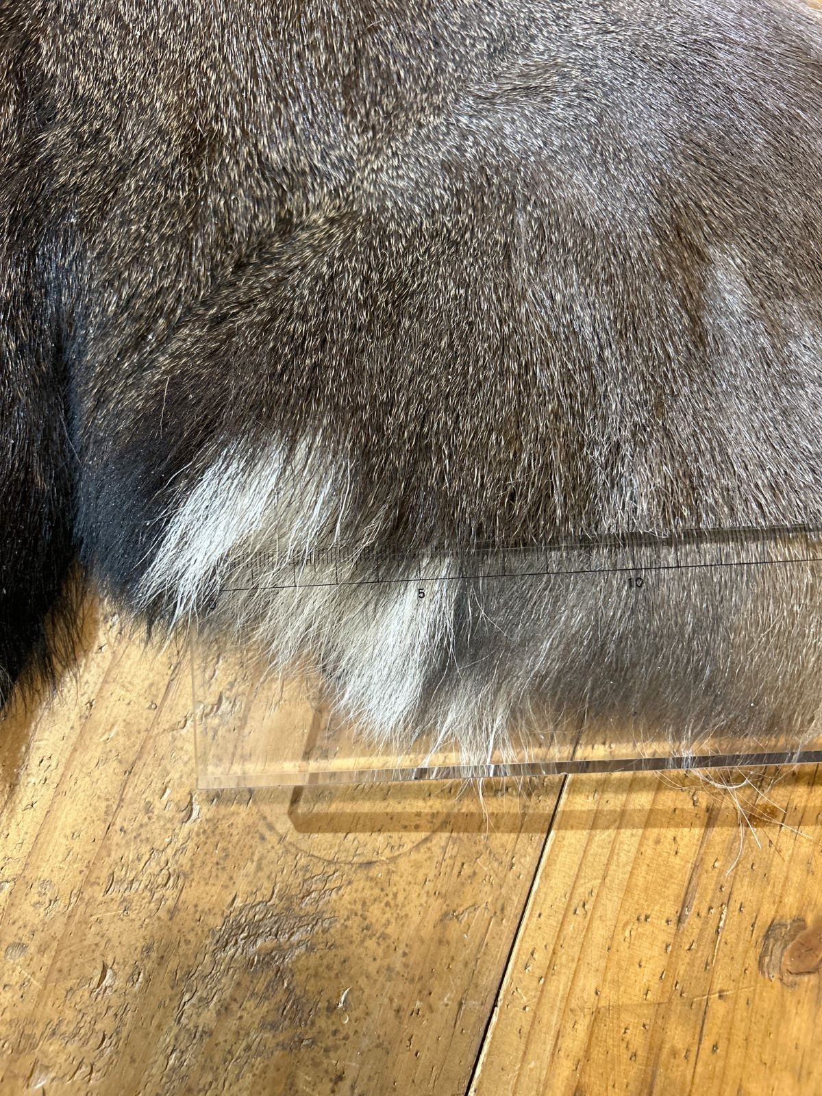 鹿の毛皮 ラグ敷物 毛革 鹿革 鹿6 ブッシュクラフト 野営 キャンプ 