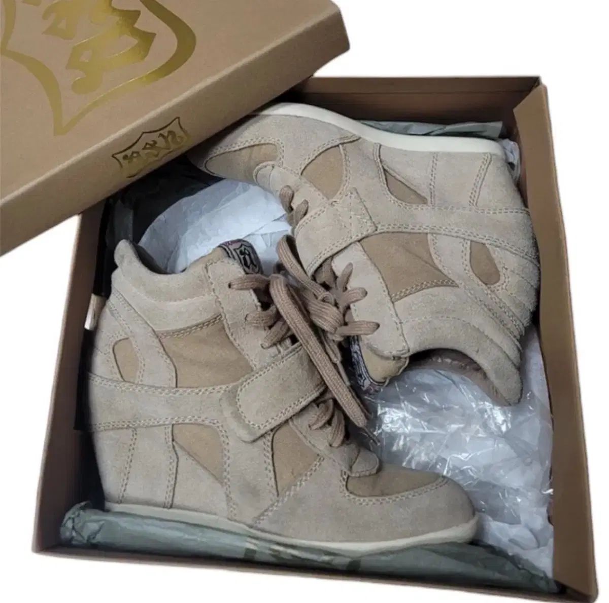 Ash ハイトップ スニーカー 37