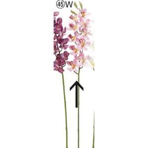 ASCA アスカ モカラX 10 つぼみX 3 A-34706-045 W 入数 12