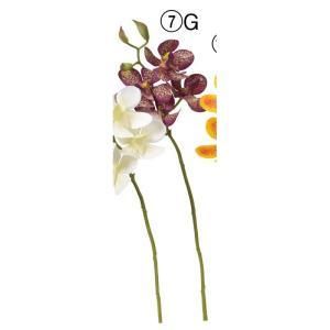 ASCA アスカ モカラX 4 つぼみX 3 A-34705-007 G 入数 24