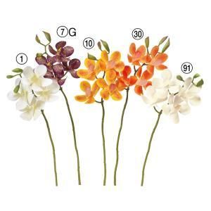 ASCA アスカ モカラX 4 つぼみX 3 A-34705-091 入数 24