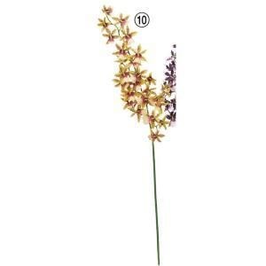 ASCA アスカ オンシジュームX 28 A-34704-010 入数 36