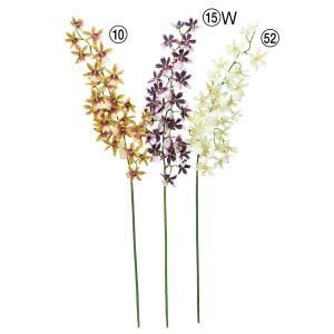 ASCA アスカ オンシジュームX 28 A-34704-052 入数 36