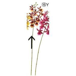 ASCA アスカ オンシジュームX 9 つぼみX 6 A-34703-015 Y 入数 36