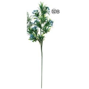 ASCA アスカ ポドカルパス A-42650-052 B 入数 12