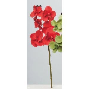 ASCA アスカ ベルベットバンダオーキッドX 6 つぼみX 3 A-34677-030 R 入数 12