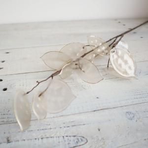 ASCA アスカ ルーセントマネープラント A-44320-027 入数 12