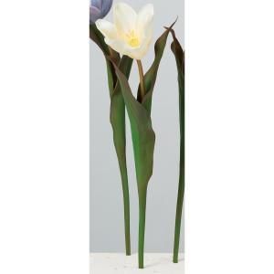 ASCA アスカ セミオープンチューリップ A-34670-011 Y 入数 12