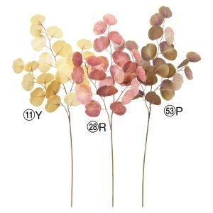 ASCA アスカ ユーカリ A-44305-053 P 入数 24