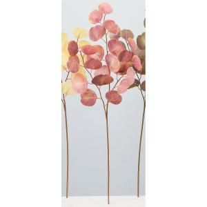 ASCA アスカ ユーカリ A-44305-028 R 入数 24