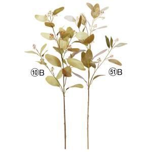 ASCA アスカ ユーカリスプレー A-44304-051 B 入数 24