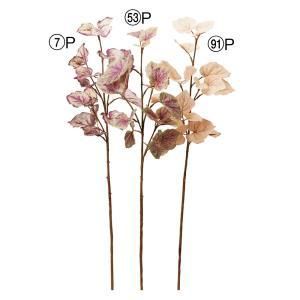 ASCA アスカ リーフスプレー A-44297-091 P 入数 24