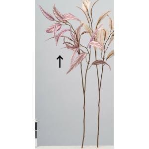 ASCA アスカ ユーカリ A-44294-007 G 入数 24